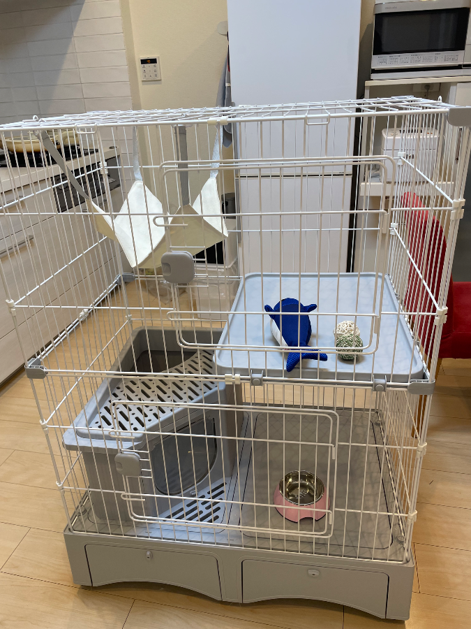 徹底比較】トイレ付き猫用ケージのおすすめ人気ランキング【2026年2月