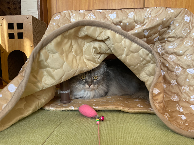 細かいところも機能性に優れている～SNSなどで100均⋯マルカン 遠