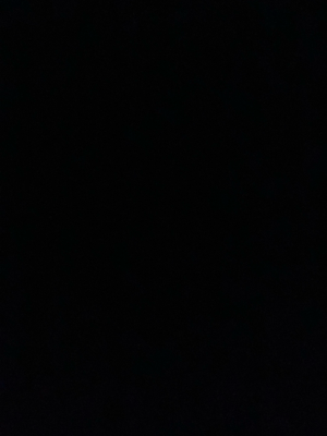 トリイ
